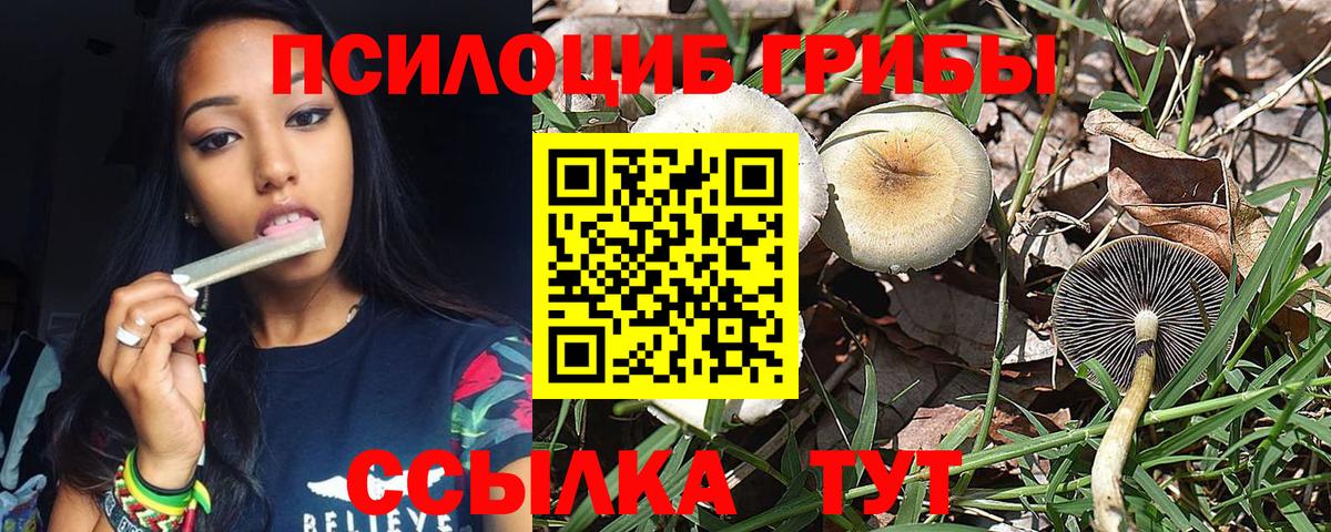 Псилоцибиновые грибы прущие грибы Узловая