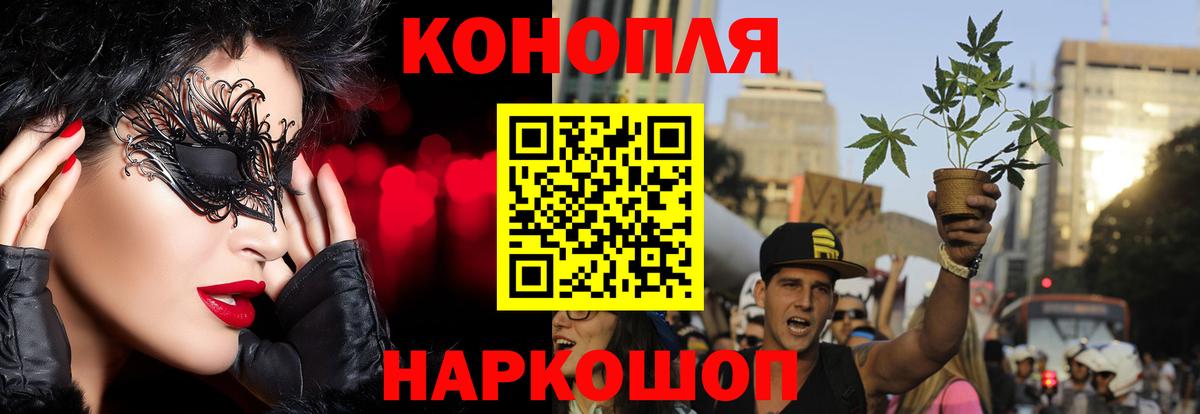 Конопля конопля Узловая